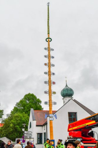 2025 Maibaum