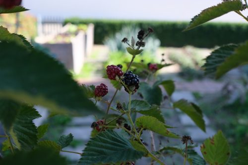 DSCF8404